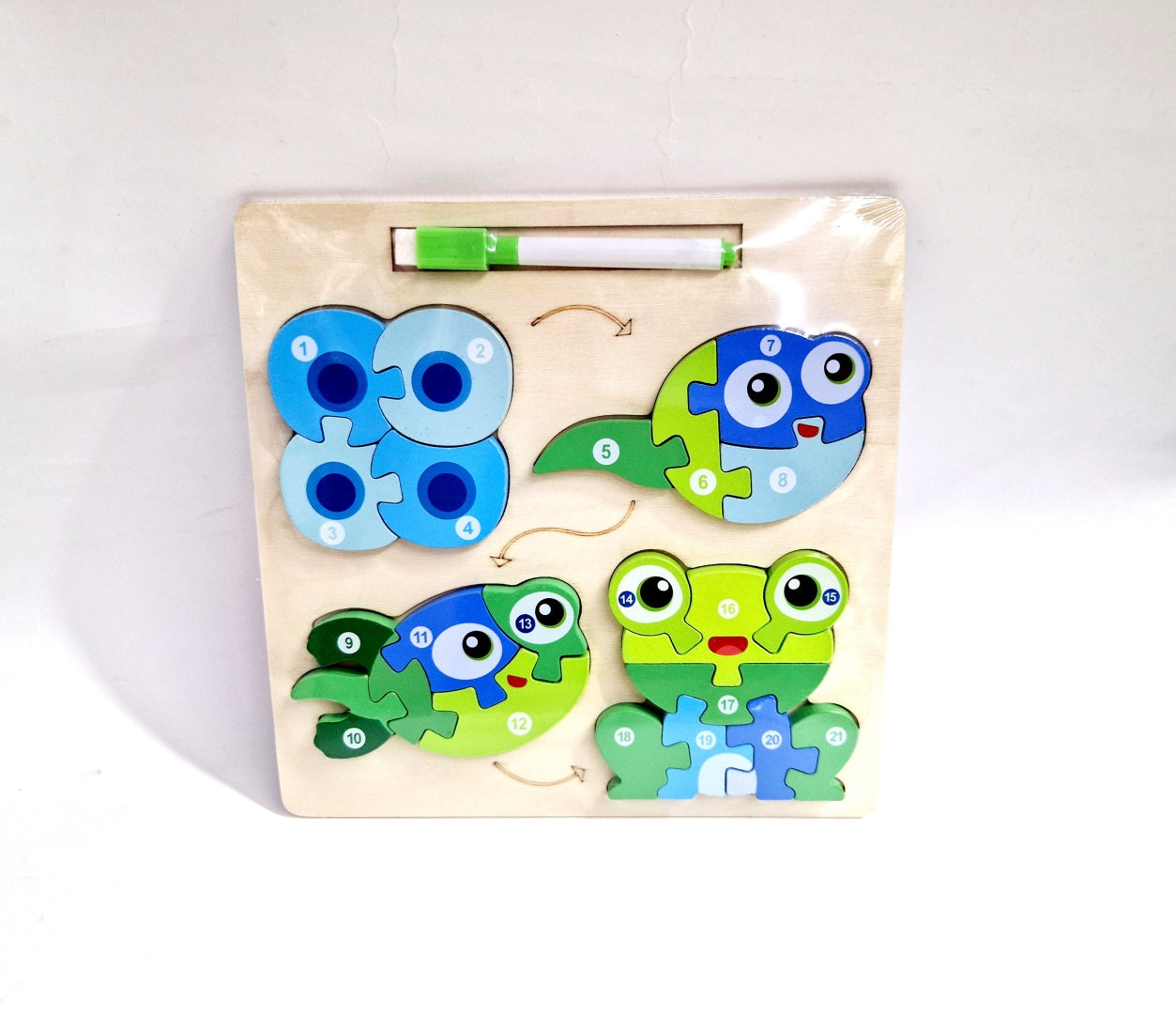 Drewniana układanka ewolucja żabki puzzle 3w1 + marker suchościeralny