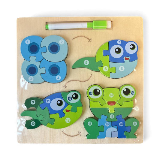 Drewniana układanka ewolucja żabki puzzle 3w1 + marker suchościeralny